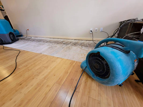 Professional Sewage Cleanup technician working in Orinda, CA